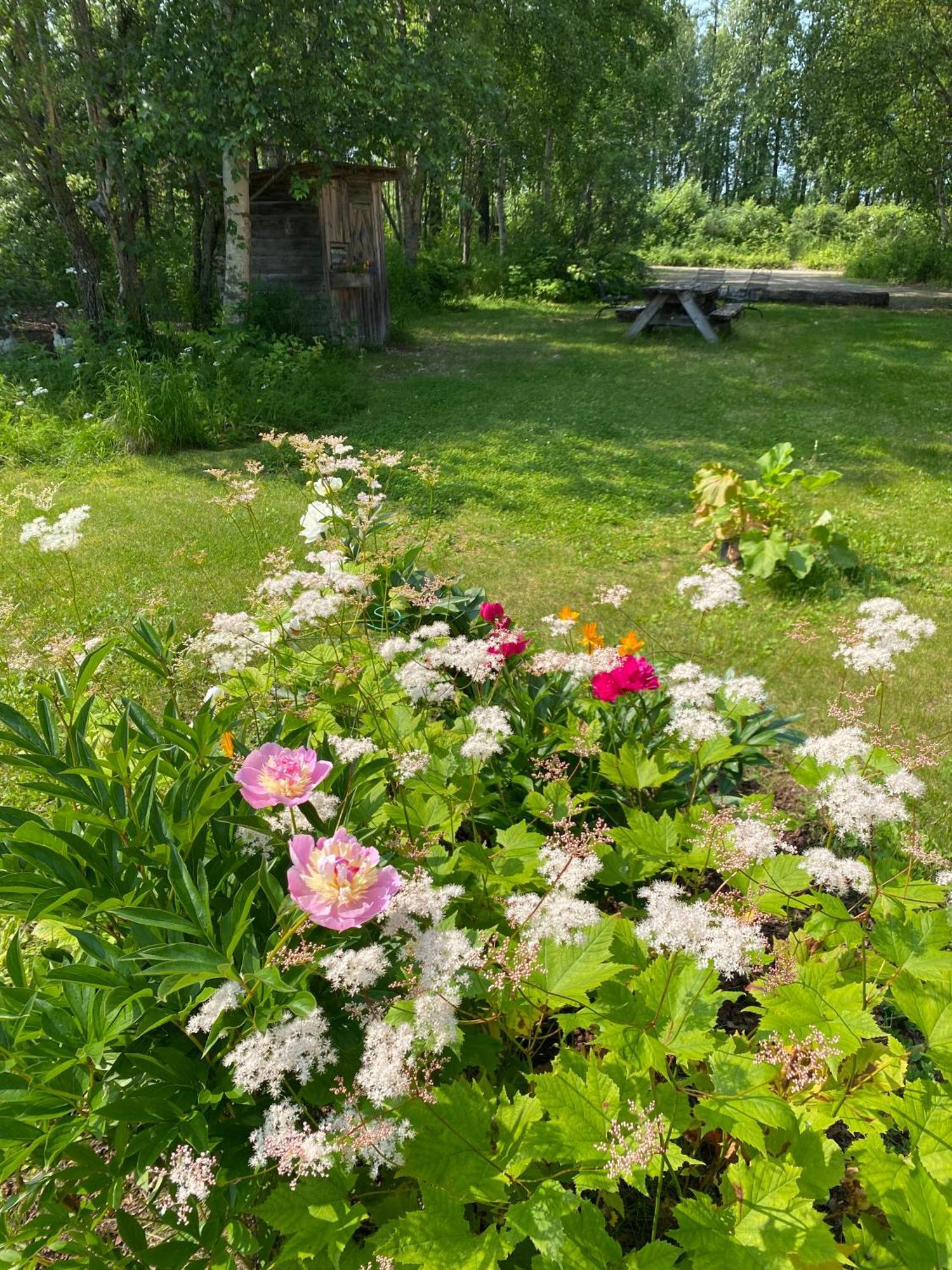 Trapper John'S Cabin & Cottages Talkeetna Exteriér fotografie